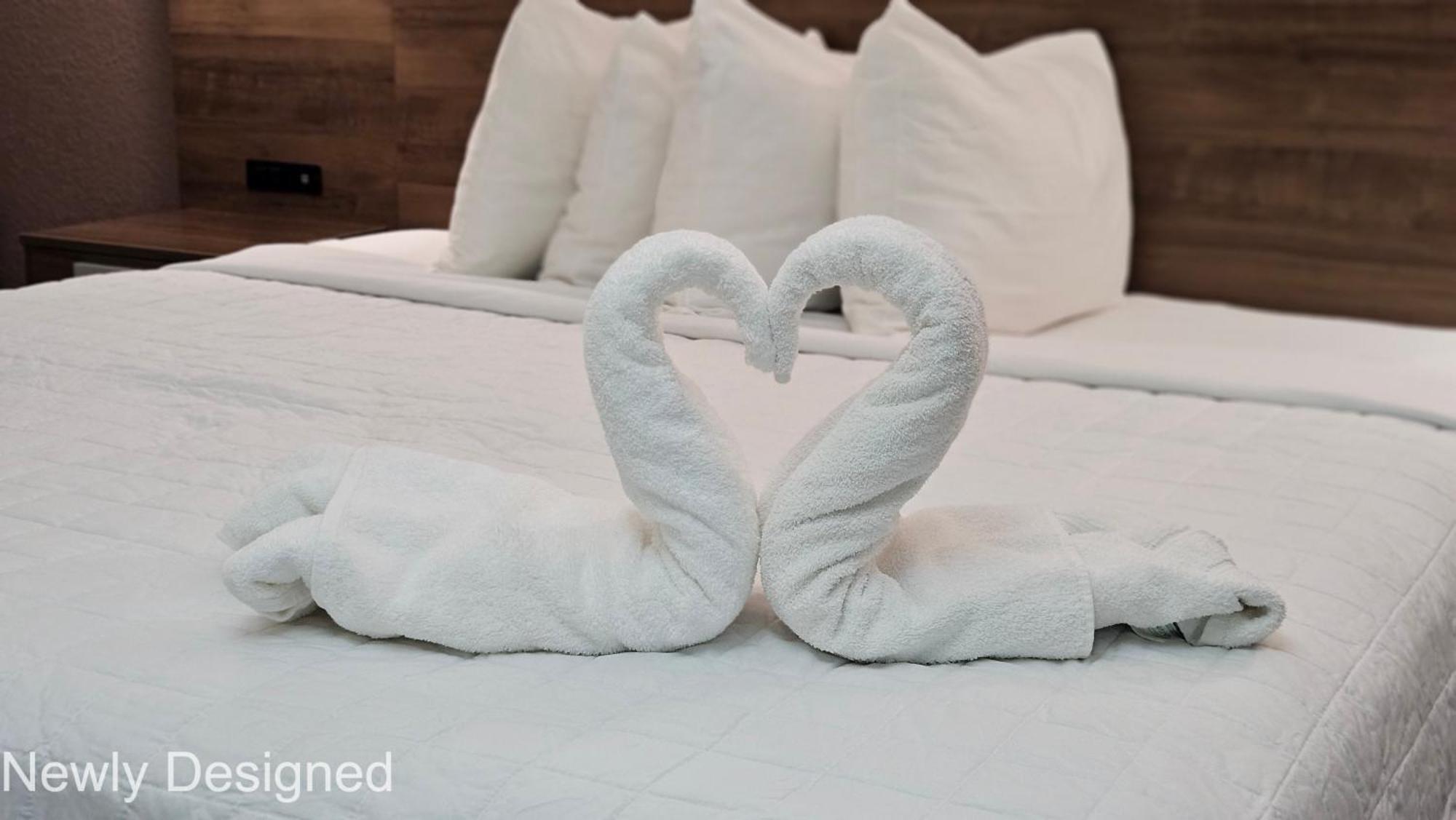 Best Western Hopkinsville Ky - Brand New Rooms Екстериор снимка