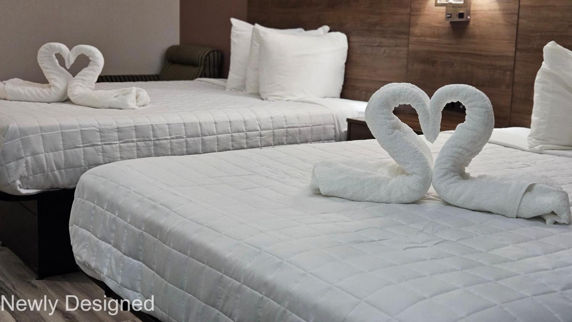 Best Western Hopkinsville Ky - Brand New Rooms Екстериор снимка